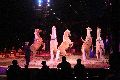Zirkus Krone, hier sitzen Sie in der 3.Reihe