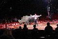 Zirkus Krone, hier sitzen Sie in der 3.Reihe