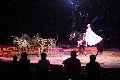 Zirkus Krone, hier sitzen Sie in der 3.Reihe