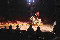 Zirkus Krone, hier sitzen Sie in der 3.Reihe