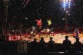 Zirkus Krone, hier sitzen Sie in der 3.Reihe